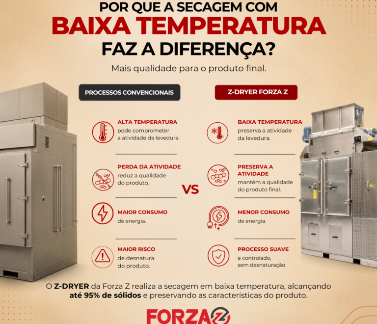 Por que a secagem em baixa temperatura faz a diferença na qualidade da levedura?